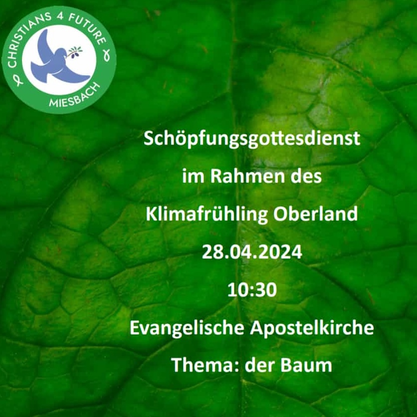 Eine Nahaufnahme eines Blattes. Text: "Schöpfungsgottesdienst im Rahmen den Klimafrühling Oberland. 28.04.2024, 10:30, Evangelische Apostelkirche. Thema: Der Baum." Oben links das Logo der Christians for Future Miesbach.