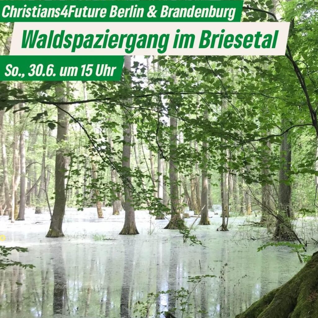 Ein sumpfiges Waldgebiet, durch die Baumkronen scheint die Sonne. Text: "Christians4Future Berlin und Brandenburg: Waldspaziergang im Briesetal, So., 30.6., um 15 Uhr." Unten links die Logos der C4F Land Brandenburg und C4F Berlin.