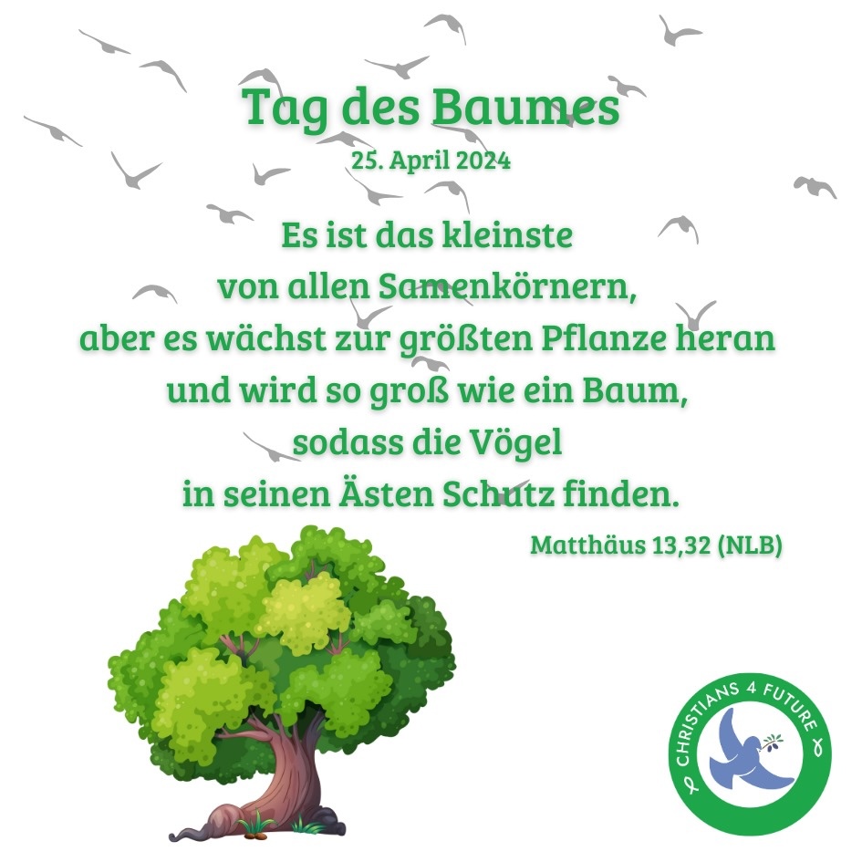 Ein sumpfiges Waldgebiet, durch die Baumkronen scheint die Sonne. Text: "Christians4Future Berlin und Brandenburg: Waldspaziergang im Briesetal, So., 30.6., um 15 Uhr." Unten links die Logos der C4F Land Brandenburg und C4F Berlin.