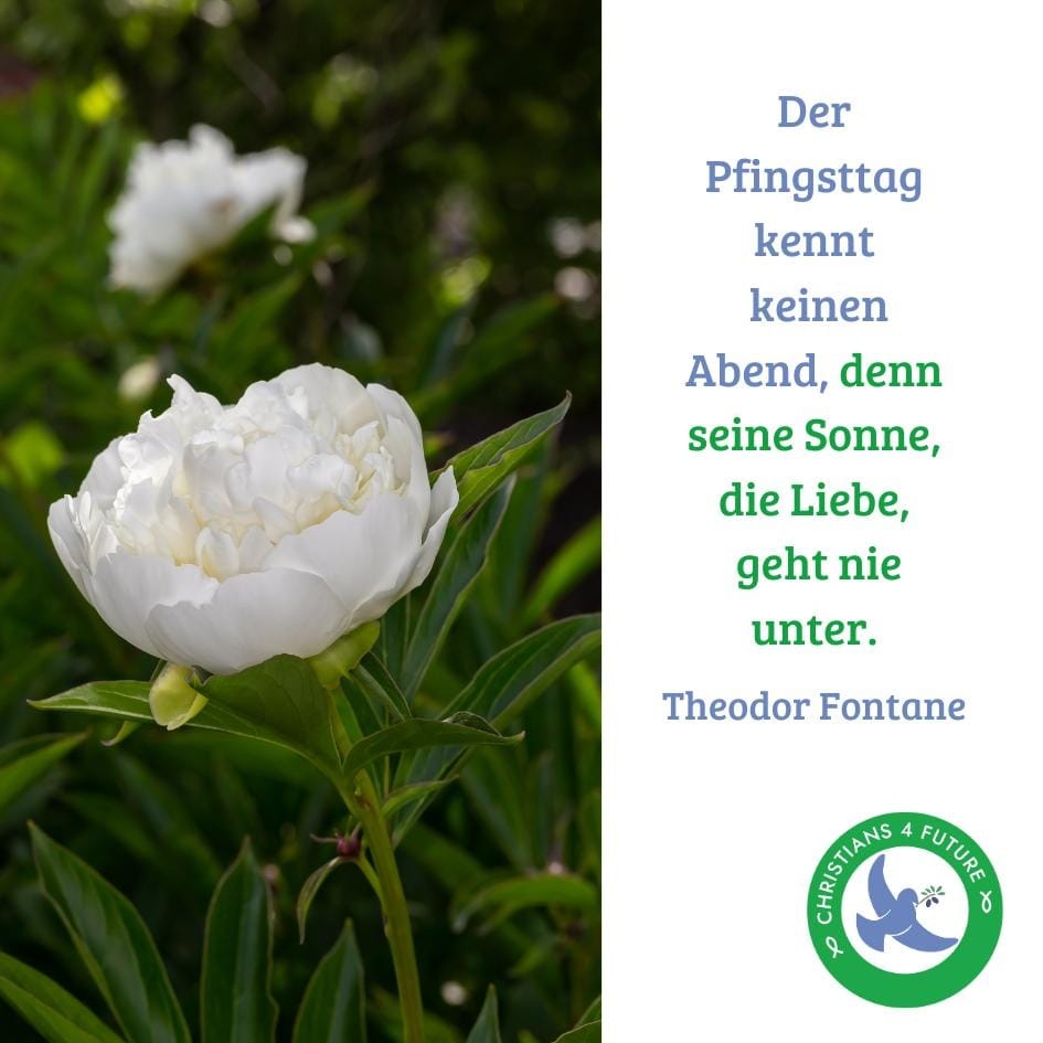 Eine weiße Pfingstrose. Text: "Der Pfingsttag kennt keinen Abend, denn seine Sonne, die Liebe, geht nie unter. (Theodor Fontane)" Unten rechts das Logo der Christians for Future.
