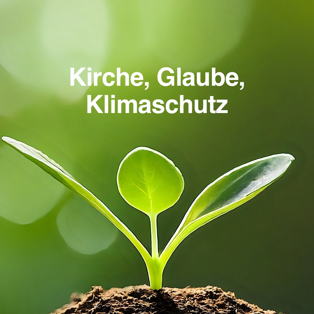 Aus dem Erdboden wächst eine grüne Pflanze mit drei Blättern. Text: Kirche, Glaube, Klimaschutz.